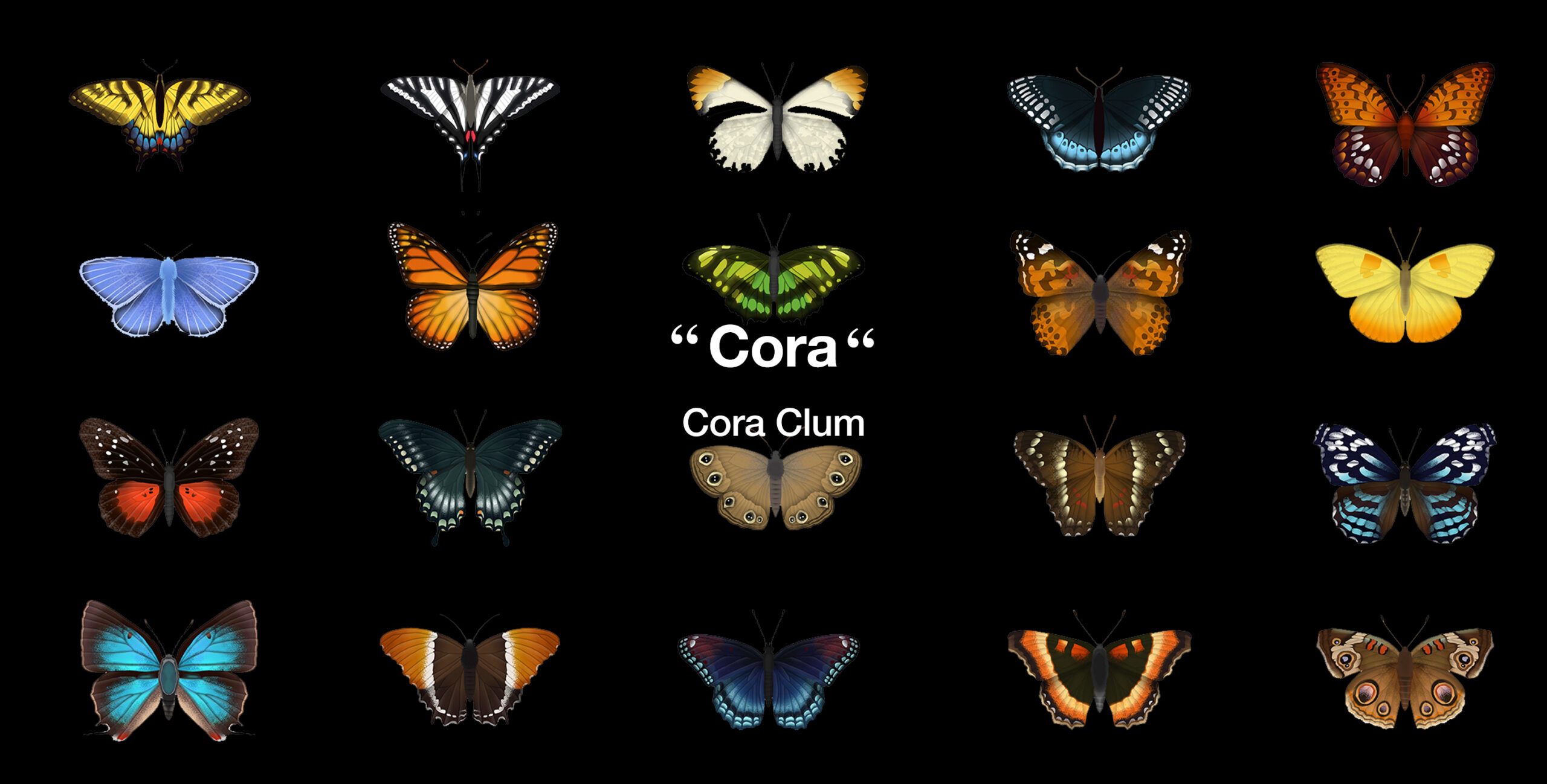 Cora_Large_Title